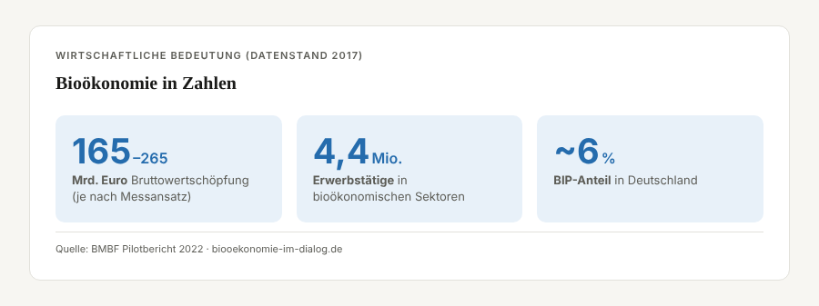Infografik Bioökonomie: Wirtschaftliche Bedeutung – 165 bis 265 Mrd. Euro Bruttowertschöpfung, 4,4 Mio. Erwerbstätige, rund 6 Prozent BIP-Anteil