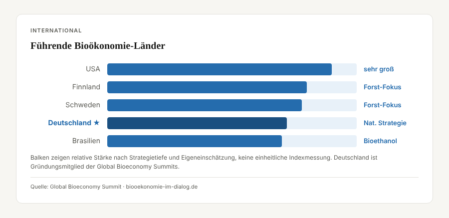 Infografik Bioökonomie international: Führende Länder im Vergleich – USA, Finnland, Schweden, Deutschland, Brasilien