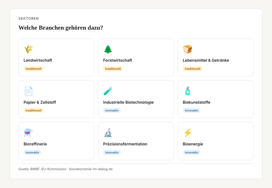 Infografik Bioökonomie-Sektoren: Landwirtschaft, Forstwirtschaft, Lebensmittel, Papier als traditionelle Bereiche; Industrielle Biotechnologie, Biokunststoffe, Bioraffinerie, Präzisionsfermentation, Bioenergie als innovative Bereiche
