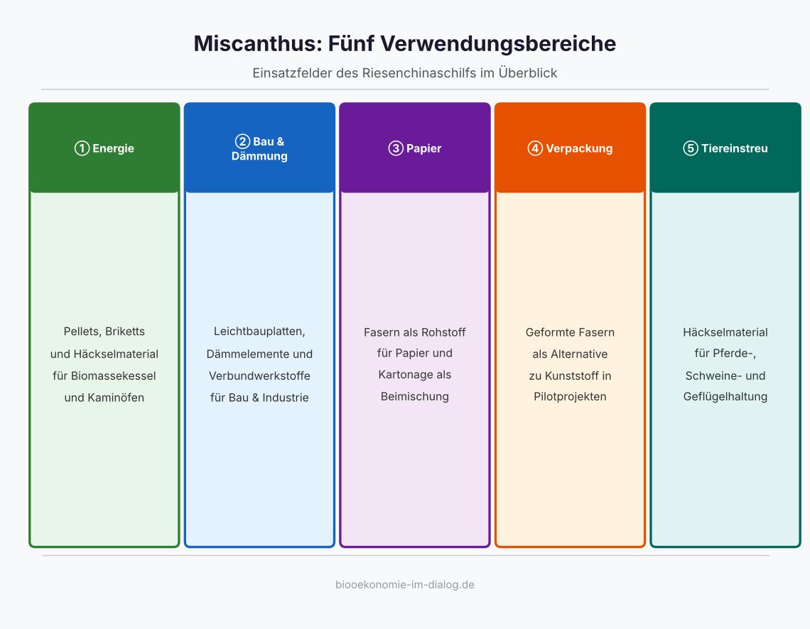 Infografik: Fünf Verwendungsbereiche von Miscanthus – Energie, Bau, Papier, Verpackung, Tiereinstreu
